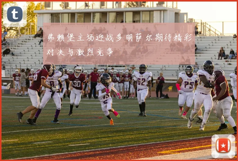 弗赖堡主场迎战多明萨尔期待精彩对决与激烈竞争