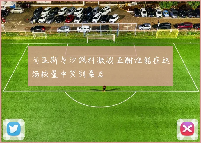戈亚斯与沙佩科激战正酣谁能在这场较量中笑到最后